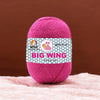 NTGS Big Wing Yarn – Rani Shade No. 17 | Acrylic Nylon Knitting & Crochet Yarn